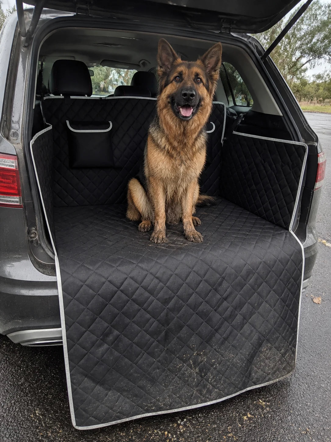 Wet German Shepherd sitting on the waterproof Arrakis boot protector attached over the rear headrests